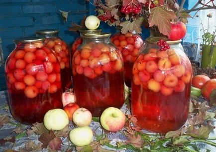 Компот з яблук кращі рецепти приготування компоту з яблук на зиму