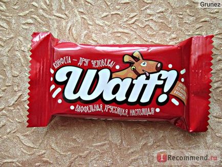 Bomboane glazurate ooo noi tehnologii cu umplutură de praline între straturile de waff waff -