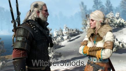 Sfarsituri in Witcher 3 sfarsit bun