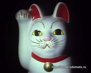 Кішки Японії - домашній улюбленець