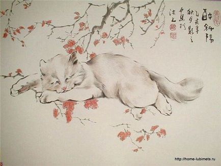 Pisicile din Japonia - favorit acasă