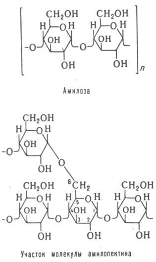 Крохмаль - хімічна енциклопедія