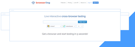 Cross-браузър съвместимост на сайта - какво е това и как да го проверите, sebweo