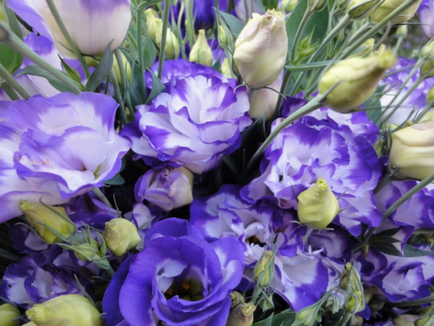 Культура ділових відносин, або які квіти подарувати колезі або шефу, бізнес з доставки квітів