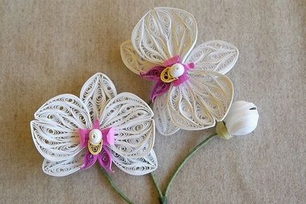 Quilling virág alapjait működés és a mesterkurzus, ls (Master) Quilling virág alapjait működés és a mesterkurzus, ls