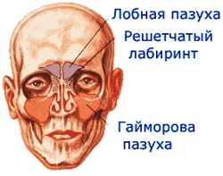 Лікування гаймориту - поради медицини - каталог статей