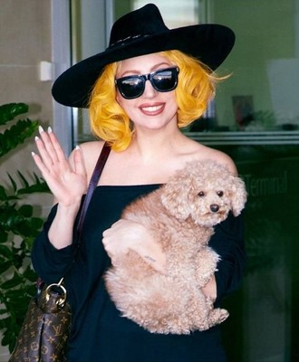 Lady Gaga nem része a kutyájával fozzilady gaga