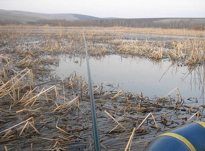 Ловля карася на сильно зарослих водоймах