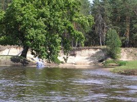 Ловля окуня на річці на спінінг і поплавкову вудку