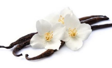 Uleiul de vanilie - mai mult decât un parfum