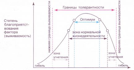 Мінеральне живлення рослин теорії і закони