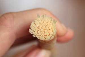 Miswak - stick dentar - poate cel mai bun site despre tratamentul stomatologic