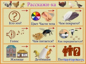 Мнемотабліци для розвитку мови і пам'яті дошкільників, сто тисяч чому