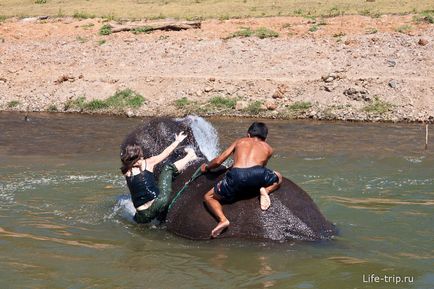 Călărim pe un elefant din Thailanda într-o acțiune