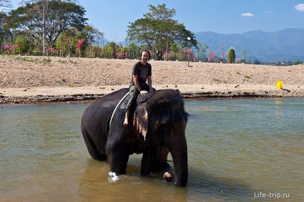 Călărim pe un elefant din Thailanda într-o acțiune