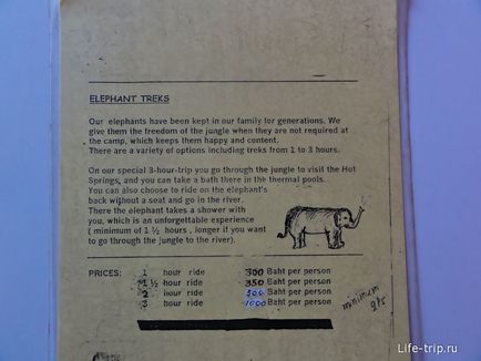 Călărim pe un elefant din Thailanda într-o acțiune