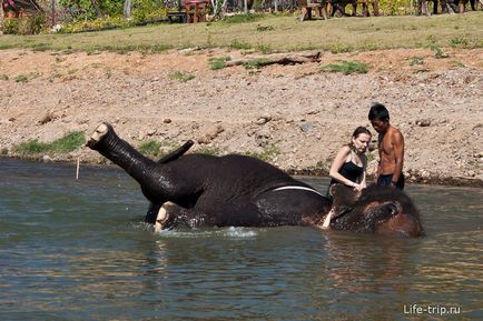 A elefánt trekking Thaiföld Pai