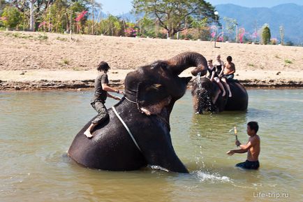 Călărim pe un elefant din Thailanda într-o acțiune