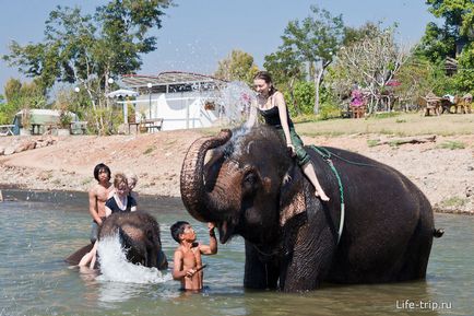 Călărim pe un elefant din Thailanda într-o acțiune