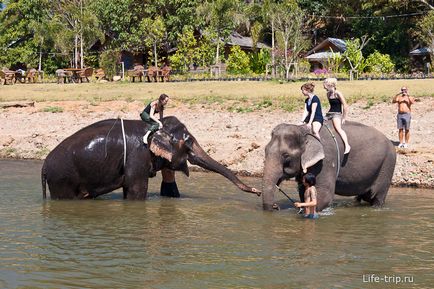 Călărim pe un elefant din Thailanda într-o acțiune