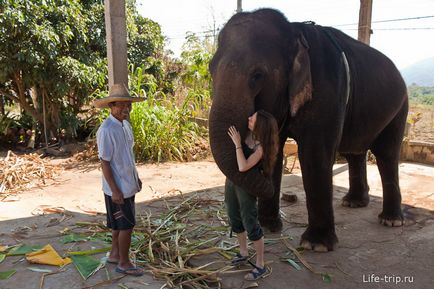Наше катання на слоні в Тайланді в пай