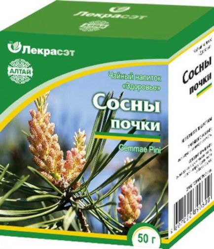 Настоянка із соснових бруньок на спирту засіб від усіх недуг