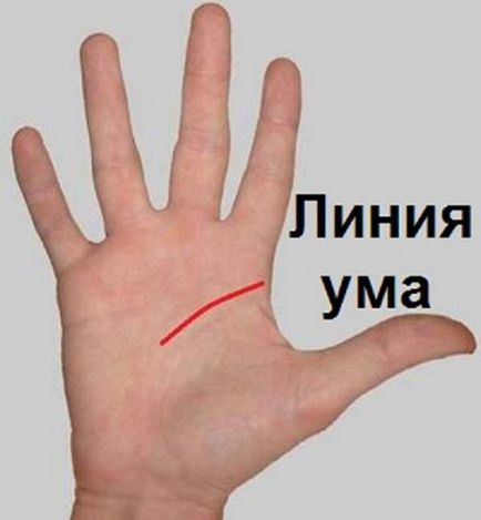 Învățați să ghiciți mâna singură! Un țigan nu va fi necesar ...
