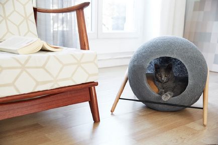Szokatlan házak macskák design cég meyou Párizs