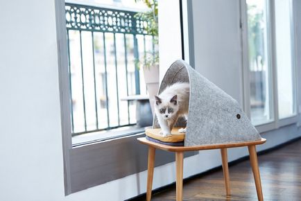 Pisici neobișnuite pentru pisici de la compania de design meyou paris