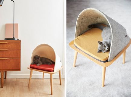 Pisici neobișnuite pentru pisici de la compania de design meyou paris
