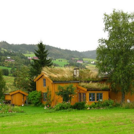 Trasee norvegiene neobișnuite de iarbă, mai proaspete - cele mai bune din Runet pentru o zi!