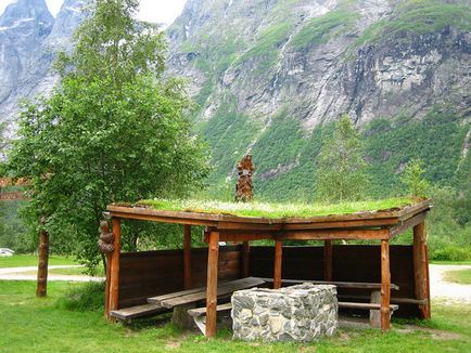 Незвичайні норвезькі дахи з трави, fresher - найкраще з рунета за день!