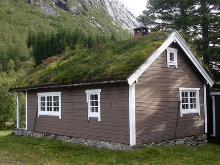Незвичайні норвезькі дахи з трави, fresher - найкраще з рунета за день!