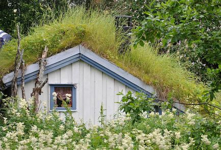 Trasee norvegiene neobișnuite de iarbă, mai proaspete - cele mai bune din Runet pentru o zi!