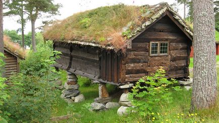 Trasee norvegiene neobișnuite de iarbă, mai proaspete - cele mai bune din Runet pentru o zi!