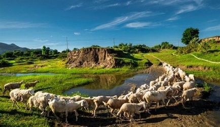 Ninthuang în Vietnam - provincia agrară a țării