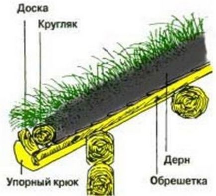 Норвезькі будинки з живими дахами - ландшафт