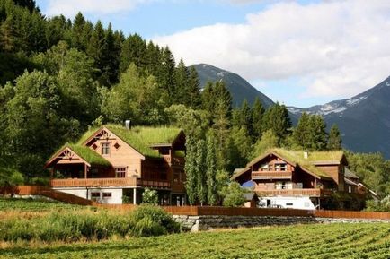 Casele norvegiene cu acoperișuri vii - peisaj