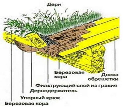 Норвезькі будинки з живими дахами - ландшафт