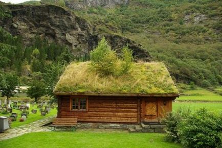 Casele norvegiene cu acoperișuri vii - peisaj