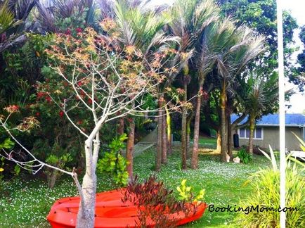 Új-Zéland, Auckland - bookingmom (bookingmom) Új-Zéland, Auckland - bookingmom