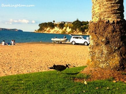 Noua Zeelandă, Auckland - rezervare