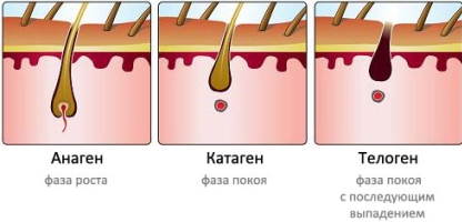 Noi abordări în tratamentul alopeciei