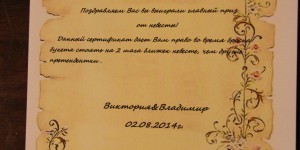 Új verseny az esküvő, vipved (vezető Limar Szergej) Új verseny az esküvő, vipved