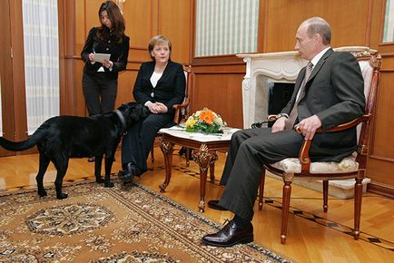 Образа на захід, користь санкцій і собака проти Меркель