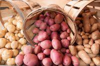 Nagyon fontos zöldségek (vitaminok) Nagyon fontos növényi