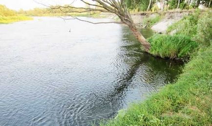 Okunevaya halászat folyók fogása basszus olyan készüléket a folyó sedobku