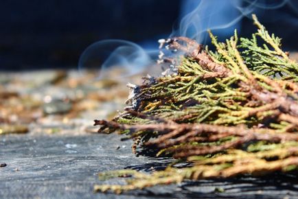 Fumigarea cuiburilor de aspen ca o modalitate eficientă de luptă