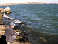 Veszélyes lakói a Fekete-tenger, vagy a „nem tudja a ford, nem megy bele a víz!” Ukrajna és a Fekete-tenger, a cikk