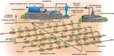 Organizarea de iluminat, umbrire și udare în seră, portal de construcție